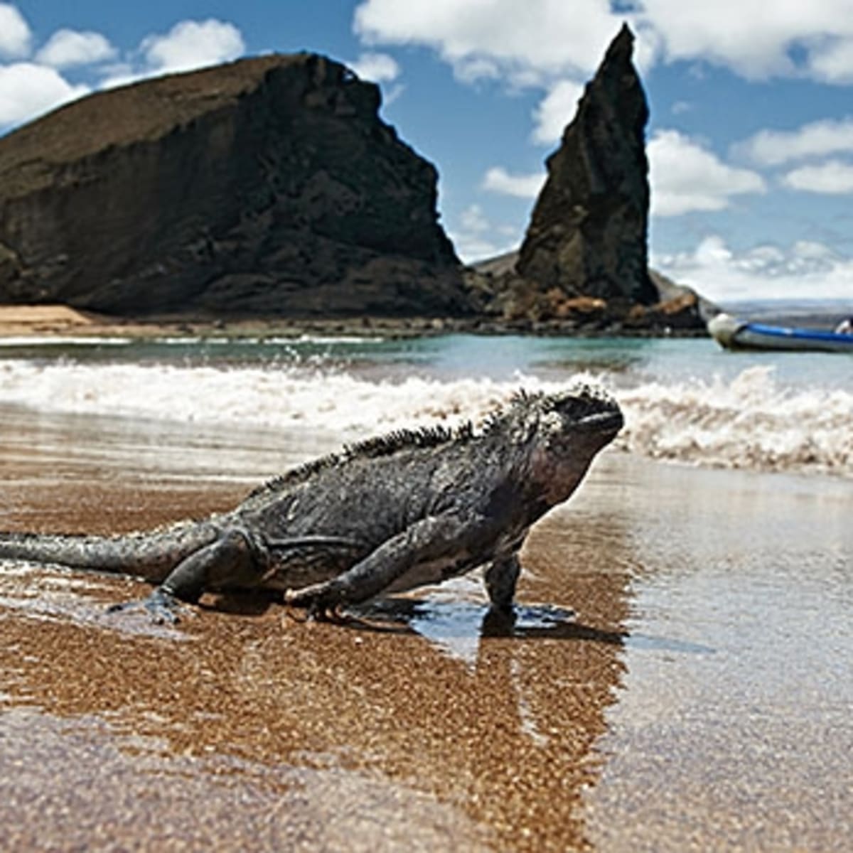 ガラパゴス化する日本の工場管理 雑談・放談